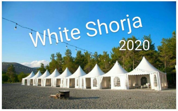 Ինչպե՞ս են Բաղրամյանի վրանները հայտնվել ԱԺ պատգամավորի բիզնես-պլյաժում (լուսանկար)